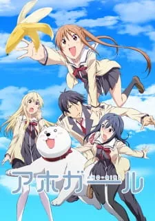 اهو-گرل Aho Girl